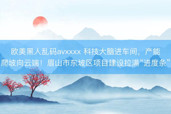 欧美黑人乱码avxxxx 科技大脑进车间，产能爬坡向云端！眉山市东坡区项目建设拉满“进度条”