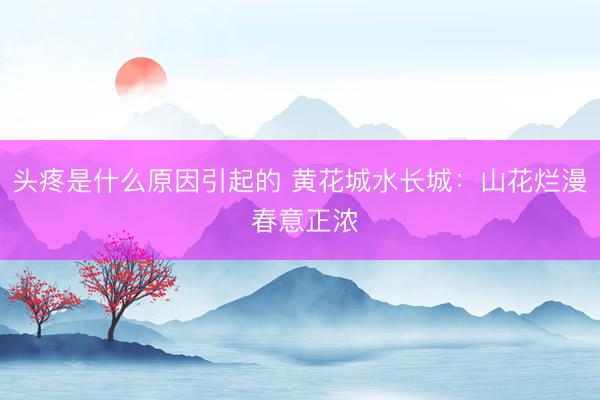 头疼是什么原因引起的 黄花城水长城：山花烂漫 春意正浓