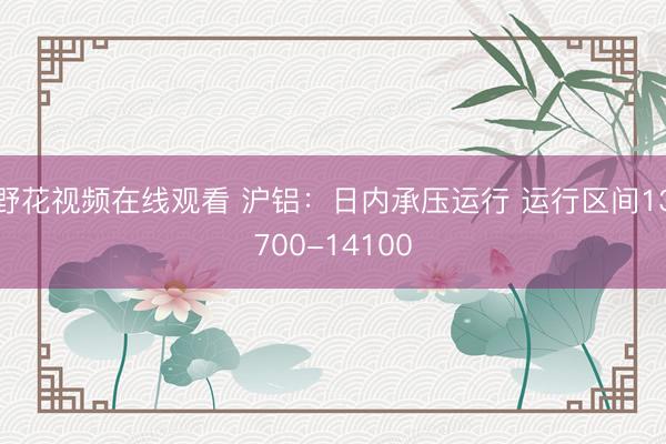 野花视频在线观看 沪铝：日内承压运行 运行区间13700-14100