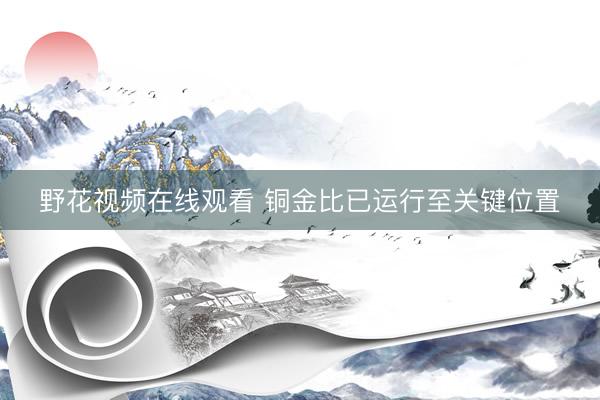 野花视频在线观看 铜金比已运行至关键位置