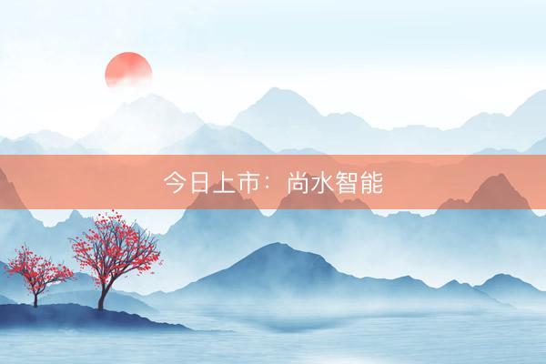 今日上市：尚水智能