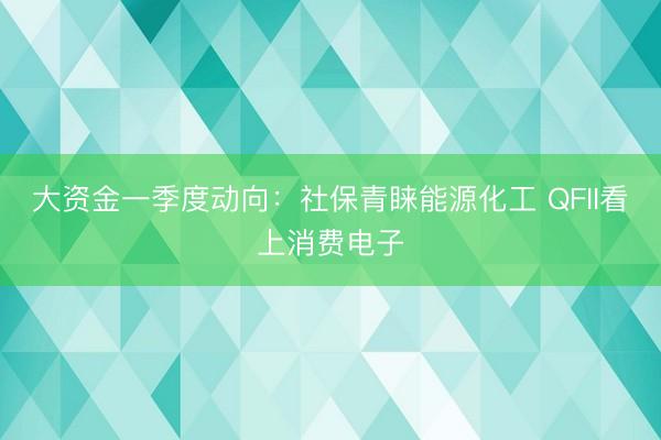 大资金一季度动向：社保青睐能源化工 QFII看上消费电子