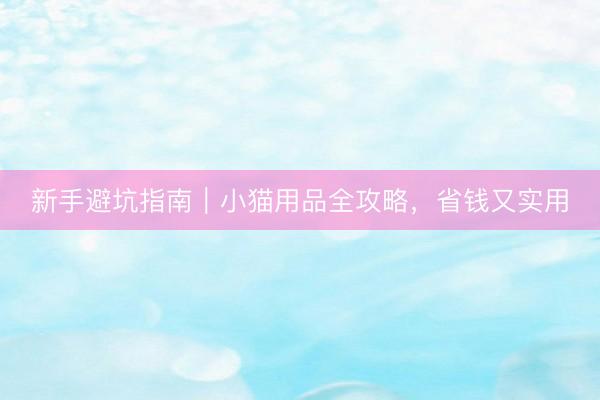 新手避坑指南｜小猫用品全攻略，省钱又实用