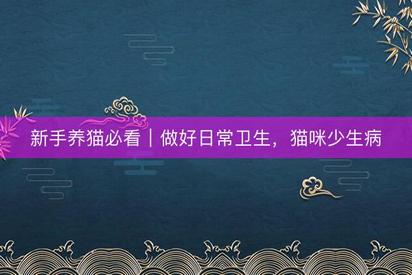 新手养猫必看｜做好日常卫生，猫咪少生病