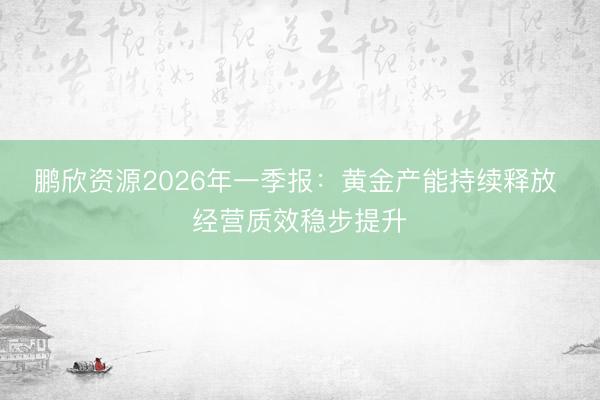 鹏欣资源2026年一季报：黄金产能持续释放 经营质效稳步提升