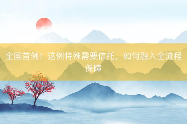全国首例！这例特殊需要信托，如何融入全流程保障