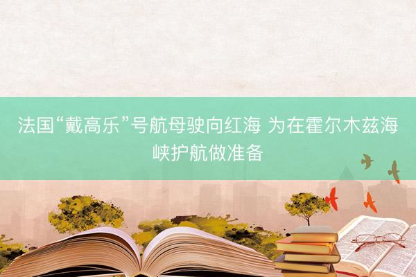 法国“戴高乐”号航母驶向红海 为在霍尔木兹海峡护航做准备