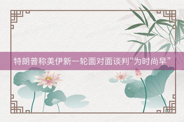 特朗普称美伊新一轮面对面谈判“为时尚早”