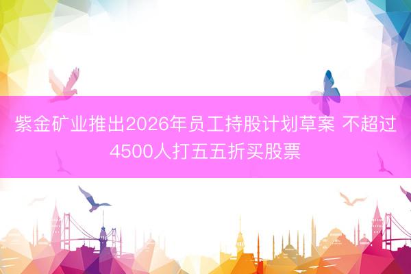 紫金矿业推出2026年员工持股计划草案 不超过4500人打五五折买股票