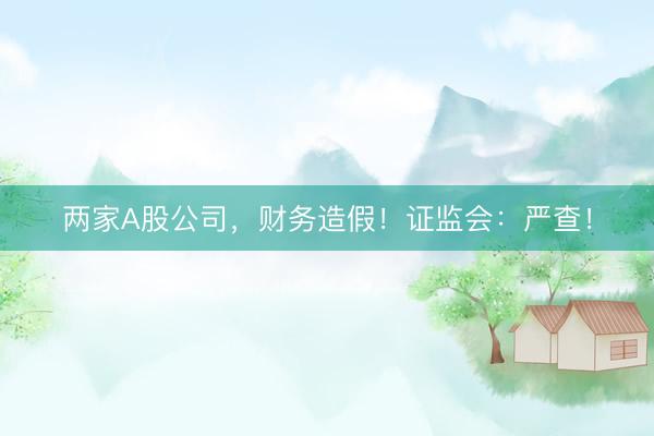 两家A股公司，财务造假！证监会：严查！