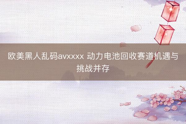 欧美黑人乱码avxxxx 动力电池回收赛道机遇与挑战并存