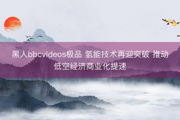 黑人bbcvideos极品 氢能技术再迎突破 推动低空经济商业化提速