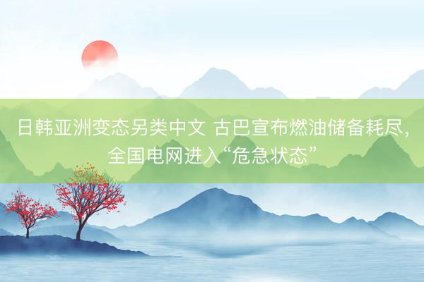 日韩亚洲变态另类中文 古巴宣布燃油储备耗尽，全国电网进入“危急状态”