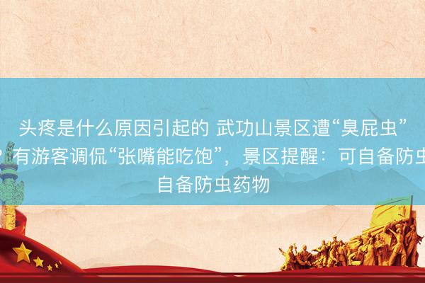 头疼是什么原因引起的 武功山景区遭“臭屁虫”围攻？有游客调侃“张嘴能吃饱”，景区提醒：可自备防虫药物