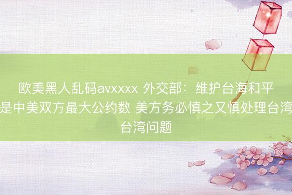 欧美黑人乱码avxxxx 外交部：维护台海和平稳定是中美双方最大公约数 美方务必慎之又慎处理台湾问题