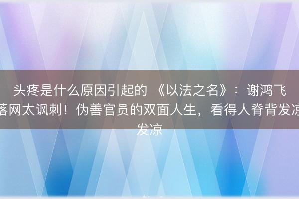 头疼是什么原因引起的 《以法之名》：谢鸿飞落网太讽刺！伪善官员的双面人生，看得人脊背发凉