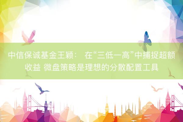 中信保诚基金王颖： 在“三低一高”中捕捉超额收益 微盘策略是理想的分散配置工具