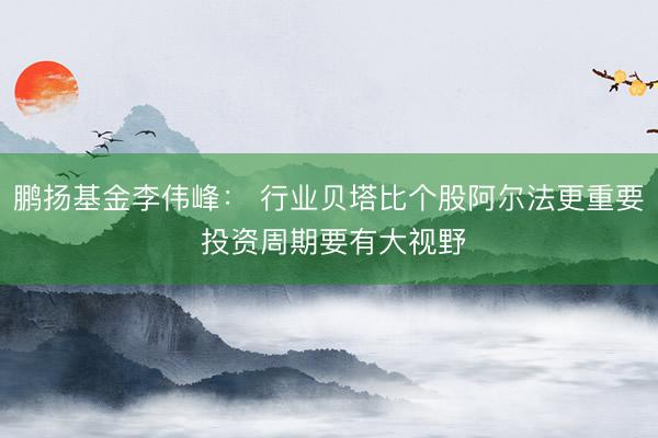 鹏扬基金李伟峰： 行业贝塔比个股阿尔法更重要 投资周期要有大视野