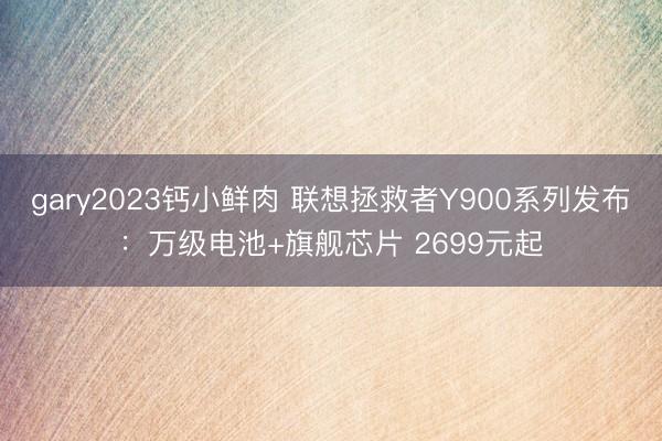 gary2023钙小鲜肉 联想拯救者Y900系列发布：万级电池+旗舰芯片 2699元起