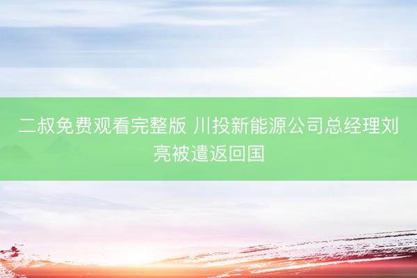 二叔免费观看完整版 川投新能源公司总经理刘亮被遣返回国