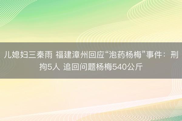 儿媳妇三秦雨 福建漳州回应“泡药杨梅”事件：刑拘5人 追回问题杨梅540公斤