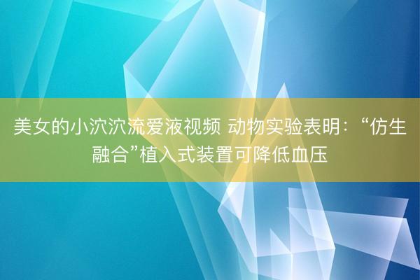 美女的小泬泬流爱液视频 动物实验表明：“仿生融合”植入式装置可降低血压