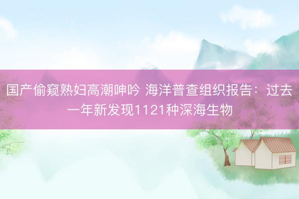 国产偷窥熟妇高潮呻吟 海洋普查组织报告：过去一年新发现1121种深海生物