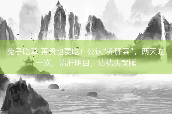 兔子吃草 再贵也要吃！公认“养肝菜”，两天吃一次，清肝明目，沾枕头就睡