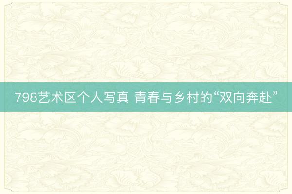 798艺术区个人写真 青春与乡村的“双向奔赴”