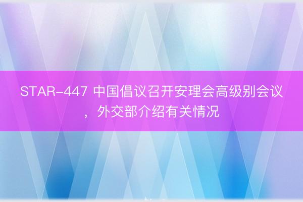 STAR-447 中国倡议召开安理会高级别会议，外交部介绍有关情况