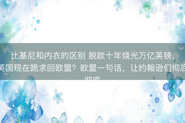 比基尼和内衣的区别 脱欧十年烧光万亿英镑，英国现在跪求回欧盟？欧盟一句话，让约翰逊们彻底