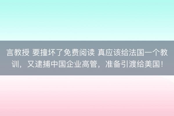 言教授 要撞坏了免费阅读 真应该给法国一个教训，又逮捕中国企业高管，准备引渡给美国！