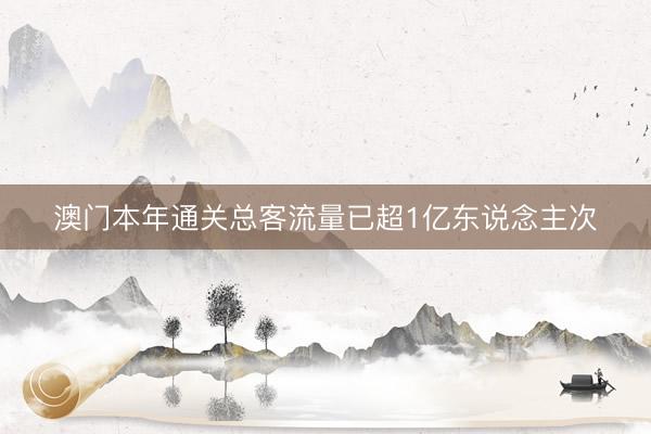 澳门本年通关总客流量已超1亿东说念主次