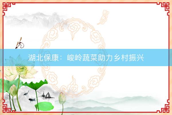 湖北保康：峻岭蔬菜助力乡村振兴