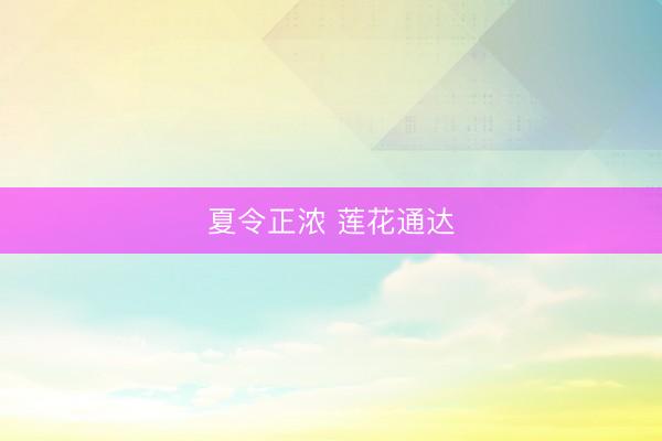 夏令正浓 莲花通达