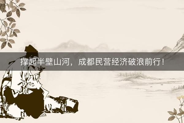 撑起半壁山河，成都民营经济破浪前行！