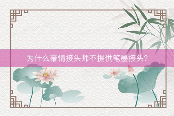 为什么豪情接头师不提供笔墨接头？