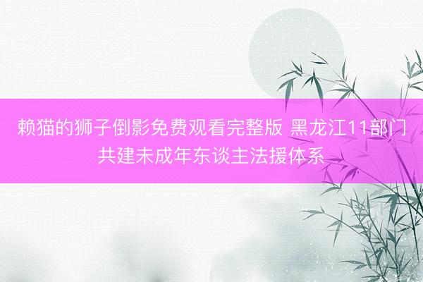 赖猫的狮子倒影免费观看完整版 黑龙江11部门共建未成年东谈主法援体系