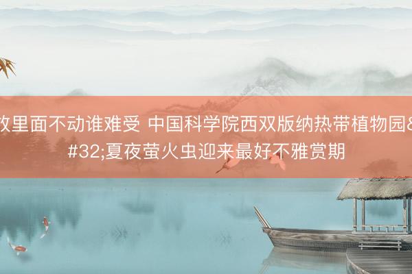 放里面不动谁难受 中国科学院西双版纳热带植物园 夏夜萤火虫迎来最好不雅赏期