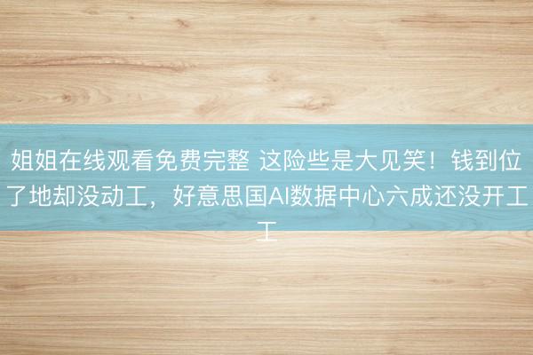 姐姐在线观看免费完整 这险些是大见笑！钱到位了地却没动工，好意思国AI数据中心六成还没开工