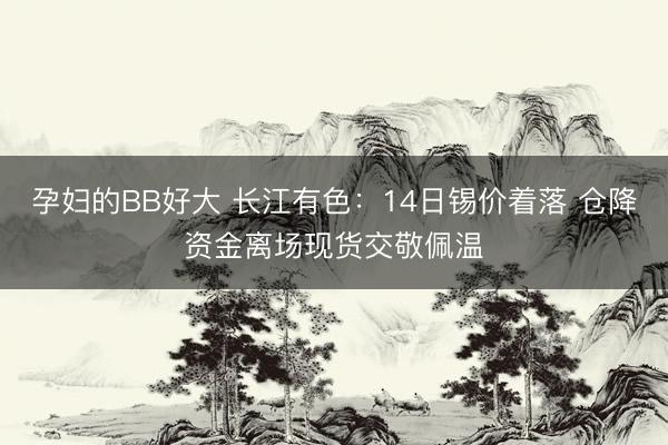 孕妇的BB好大 长江有色：14日锡价着落 仓降资金离场现货交敬佩温