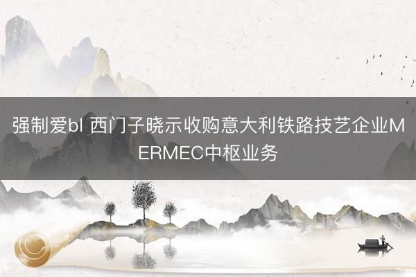 强制爱bl 西门子晓示收购意大利铁路技艺企业MERMEC中枢业务