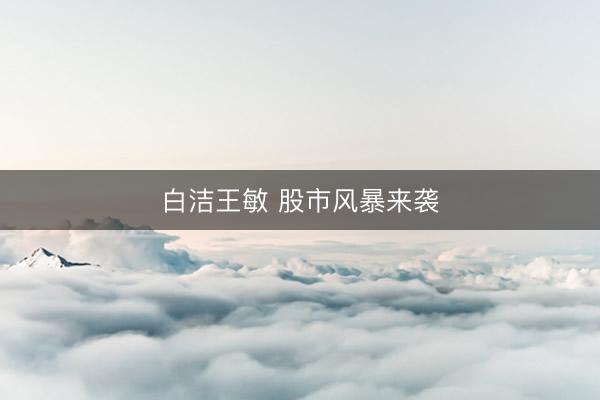 白洁王敏 股市风暴来袭