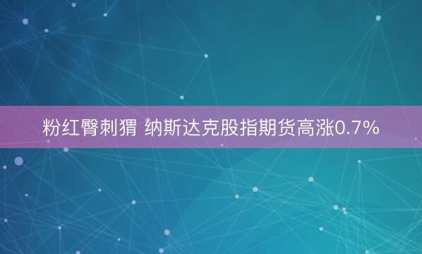 粉红臀刺猬 纳斯达克股指期货高涨0.7%