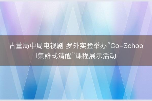 古董局中局电视剧 罗外实验举办“Co-School集群式清醒”课程展示活动