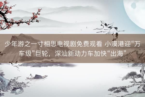 少年游之一寸相思电视剧免费观看 小漠港迎“万车级”巨轮，深汕新动力车加快“出海”