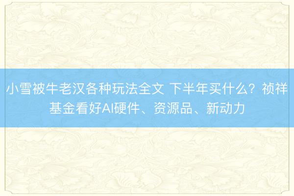 小雪被牛老汉各种玩法全文 下半年买什么?祯祥基金看好AI硬件、资源品、新动力