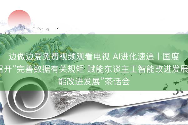 边做边爱免费视频观看电视 AI进化速递丨国度数据局召开“完善数据有关规矩 赋能东谈主工智能改进发展”茶话会