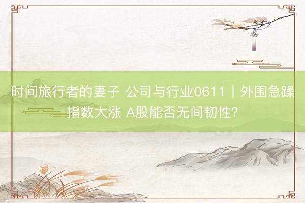 时间旅行者的妻子 公司与行业0611丨外围急躁指数大涨 A股能否无间韧性？