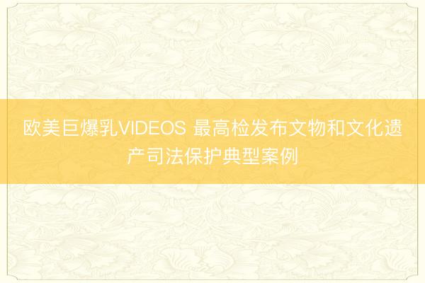 欧美巨爆乳VIDEOS 最高检发布文物和文化遗产司法保护典型案例